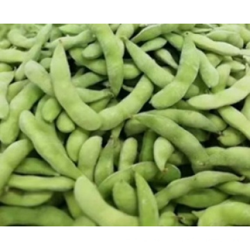 IQF Frozen Organic Edamame Manufacturer